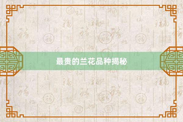最贵的兰花品种揭秘