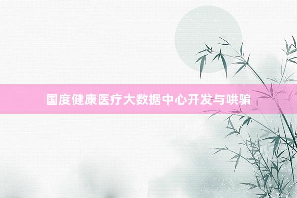 国度健康医疗大数据中心开发与哄骗