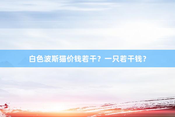 白色波斯猫价钱若干？一只若干钱？